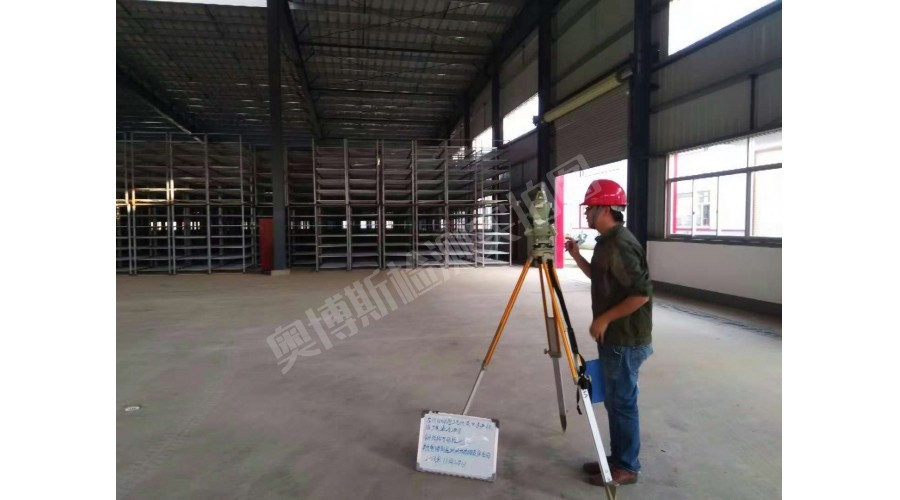 龍州北部灣現(xiàn)代農(nóng)業(yè)生產(chǎn)標準廠房建設項目鋼結構變形檢測