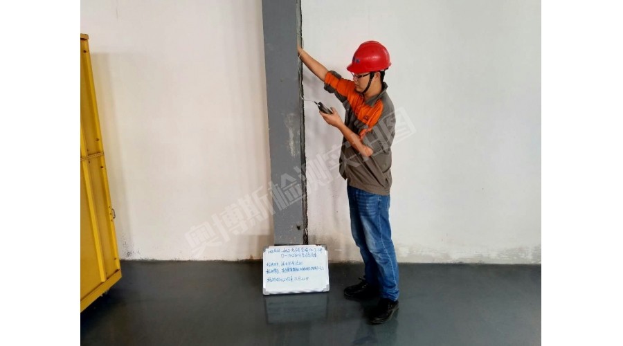 橫縣，萬川種業(yè)有限公司生產(chǎn)車間及成品庫涂層厚度檢測